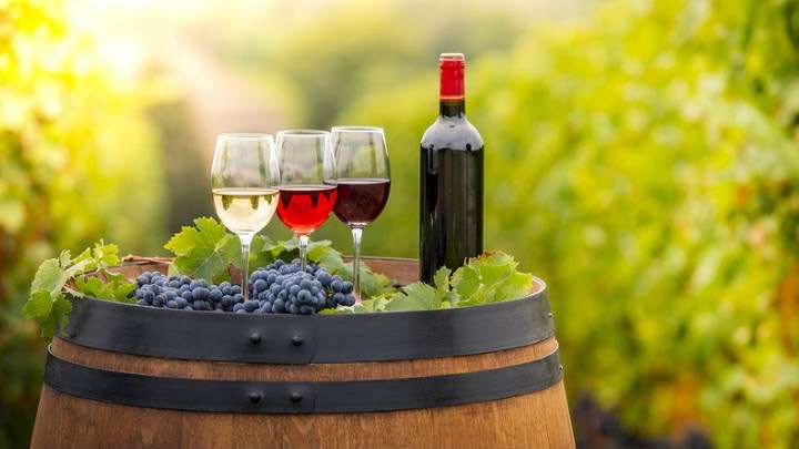 La Viña San Pedro de Tarapacá es una productora de vinos propiedad del Grupo CCU / Bigstock