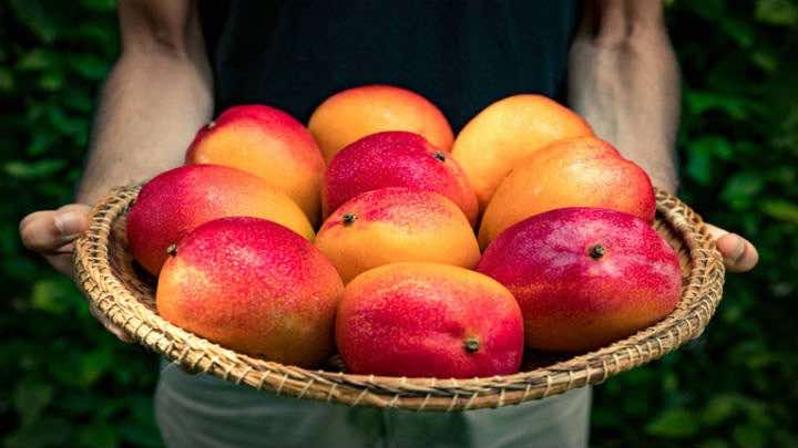 Camposol produce y exporta una variedad de frutas que incluye mango / Camposol