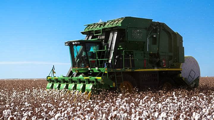 Scheffer produce algodón y semillas de algodón, soya, maíz y cría, recría y engorde de ganado bovino en los estados de Mato Grosso y Maranhão / Tomada del sitio web de Scheffer