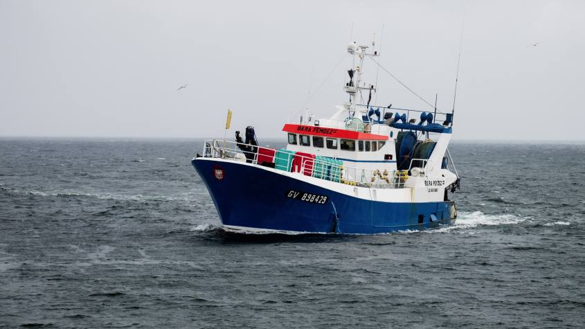 Pesquera Exalmar produce harina y aceite de pescado y pescados y mariscos congelados / Unsplash - Thomas Millot