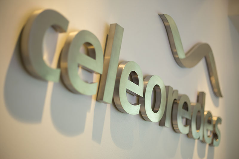 Celeo Redes es propiedad de Elecnor (51 %) y del fondo de pensiones holandés APG Pool Infrastructure 2012 (49 %) / Tomada del sitio web de la empresa