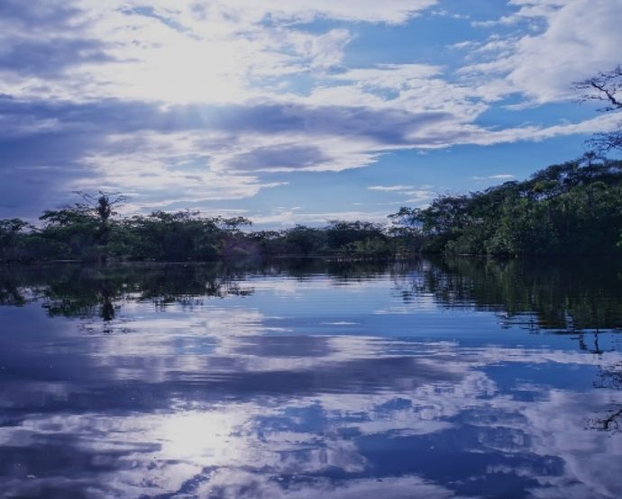 El caso Chevron, relacionado con un litigio por contaminación en la Amazonia, comenzó hace ya más de 25 años / Pixabay.