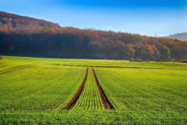 Agrofértil S.A. utilizará estos fondos para comprar insumos agrícolas / Pixabay