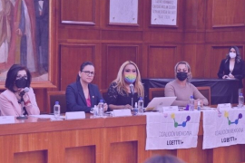 A inicios de abril, la Coalición y un grupo de colectivos que promueven el acceso al derecho para las disidencias sexuales se presentaron en el Congreso de Toluca de Lerdo para iniciar la demanda por el cupo del 3 % de plazas laborales / @Legismex
