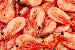 Seajoy Seafood Corporation se dedica a la producción de camarón / Pixabay