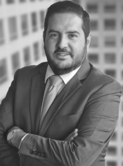 David Eugenio Puente Tostado David Eugenio Puente Tostado