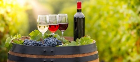 La Viña San Pedro de Tarapacá es una productora de vinos propiedad del Grupo CCU / Bigstock