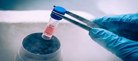 Lazo de Vida se dedica a la criopreservación de células madre con fines de transplante / Bigstock