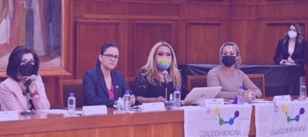 A inicios de abril, la Coalición y un grupo de colectivos que promueven el acceso al derecho para las disidencias sexuales se presentaron en el Congreso de Toluca de Lerdo para iniciar la demanda por el cupo del 3 % de plazas laborales / @Legismex