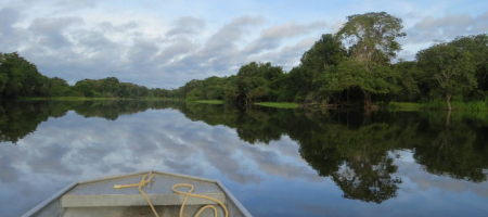 Consorcio Hidrovías II se adjudica proyecto Hidrovía Amazónica con apoyo de Rosselló