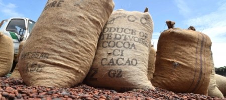Cuatro firmas participan en compra de unidad de cacao de ADM