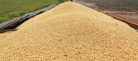 Syngenta firma acuerdo con COFCO para adquirir negocio de semillas de Nidera en Latinoamérica