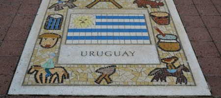 Corina Bove: “Uruguay es un  mercado chico pero sofisticado”